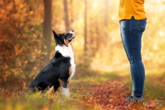 Mensch Hund Fotografie